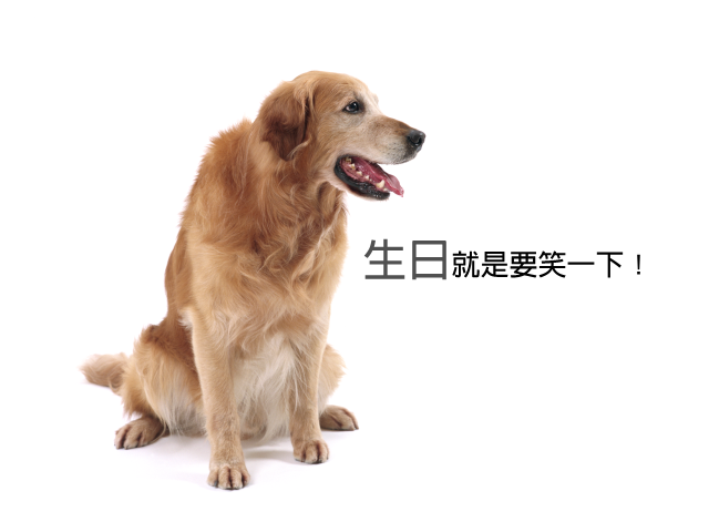  笑話大全網頁，不要說我設計你喔！生日就是要笑一下！ 