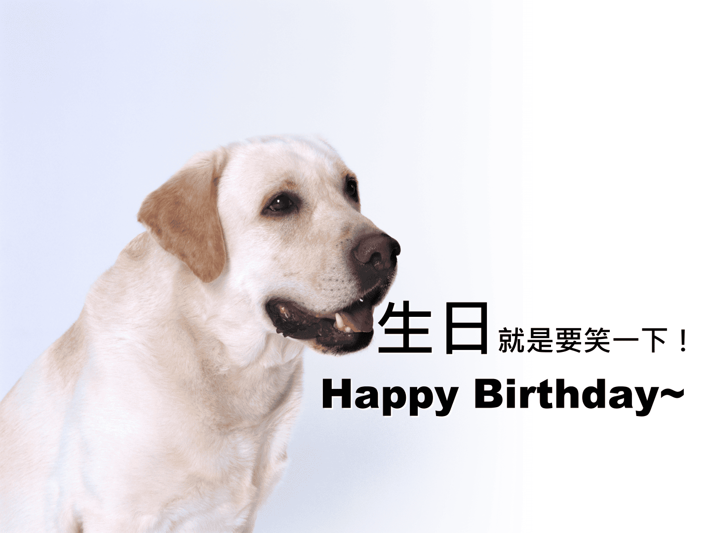  笑話大全網頁，不要說我設計你喔！生日就是要笑一下！ 